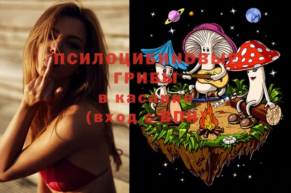 крисы Балабаново