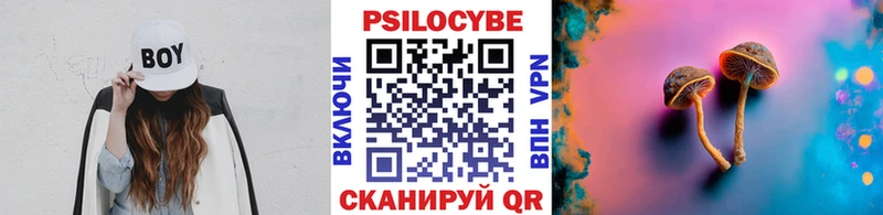 МЕГА ССЫЛКА  цены   Изобильный  Псилоцибиновые грибы Psilocybine cubensis 